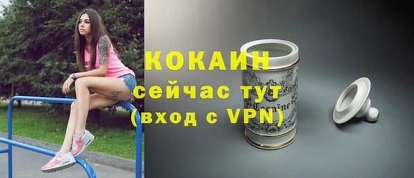 спиды Инта