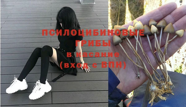 герыч Зеленодольск