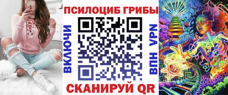 закладка  Каргополь  Галлюциногенные грибы прущие грибы 