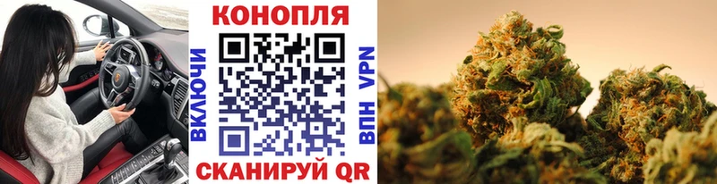 Бошки марихуана марихуана Каргополь